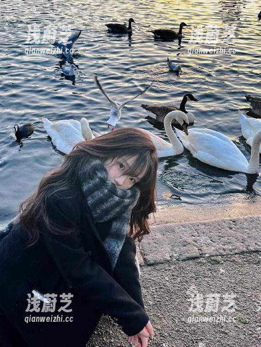 一言不合，turnto998.su，分享你的无奈和他们的大胆设想。