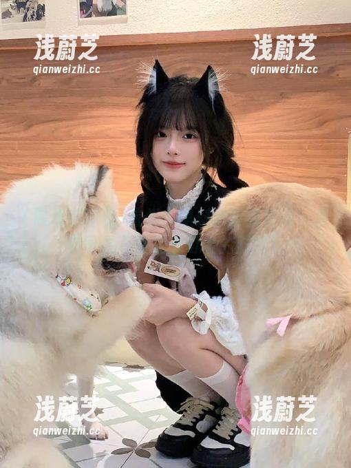 杭州市黑料老司机官网：当老司机不再是老司机的时候！